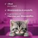 Whiskas Milk Kitten Snacks for 2-12 Months - 8x55g Treats for Healthy Growth | Functional Cat Snacks - International Shipping Available - Buy Online on SooperMarket.com