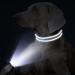 Buy Tagme Personalized Dog Collar for Small Dogs - Embroidered Reflective Nylon Sky Blue XS (1 Pack) - Custom Pet Name & Phone Number - Buy Online on SooperMarket.com