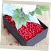 HOMSFOU 300 Pcs Winter Decor for Home Household Decor Red Home Decor Light House Decorations for Home Red Decor Home Decoration Home Accents Decor Berry Decor Rodless Red Berries Redx3pcs 1x1cmx3pcs - Buy Online on SooperMarket.com