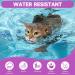 Woyamay Calming Collar For Cats Adjustable Calming Cat Collar for Anxiety and Stress Relief Natural Cat Calming Pheromone Collar with 60 Days for Kitten Medium Large Cats 2 Pack Rainbow Rainbow-2 Pack - Buy Online on SooperMarket.com