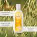 Weleda Oat Replenishing Hair Strengthening Shampoo 6.4 Fl Oz Oat Replenishing Shampoo - Buy Online on SooperMarket.com