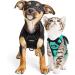 Breakproof Cat Leash Set & Adjustable Soft Kitten Vest with Reflective Stripes - Green Small Cat Dishes for Kittens - Buy Online on SooperMarket.com