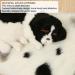 Pet Bed Soft Plush Comfortable 33.9x23.6x1.2in Pet Mattress for Puppy Cats for Four Seasons(Koala Dark Gray) - Buy Online on SooperMarket.com