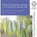 Absolute Aromas Organic Eucalyptus Essential Oil 10ml - 100% Pure & Natural for Diffusers - Cruelty-Free - Aromatherapy Blend - Pack of 1 - Buy Online on SooperMarket.com