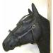 Buy PS Horse French Cavesson Cavecon with D-Rings - Soft Full Brown with Gold Fittings | International Shipping Available - Buy Online on SooperMarket.com