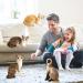 Hpory Cat Soft Toy Simulation Cat Plushie Cute Plush Cat Doll Realistic Cat Soft Plush Faux Plush Kitten Toy Pet Animal Photography Prop Room Home Decoration Companion Pets Toy Gift for Kids Orange Cat - 30cm - Buy Online on SooperMarket.com