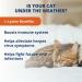 Under the Weather Pet Daily Cat L-Lysine | 60 Soft Chews | Vet Formulated & All Natural | Immune Support for Cats - Buy Online on SooperMarket.com