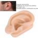 Skin-Friendly Silicone Ear Acupuncture Model for Otolaryngology Centers, Pharmacies, and Hospitals - Buy Online on SooperMarket.com