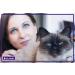 FELIWAY CLASSIC Diffuser Refill 3-Pack - Use with FELIWAY Cat Diffusers - Comforts Cats at Home & Helps Control Unwanted Urine Spraying Cat Scratching and Hiding (90 Day Supply FELIWAY Refill C238) - Buy Online on SooperMarket.com