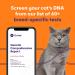 ORIVET Cat Breed DNA Test - 1 Pack | Comprehensive Genetic Health Screening & LifePlan | At Home Cheek Swab | Accurate & Fast Results - Buy Online on SooperMarket.com