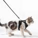 Comfortable Cat Dishes with Leash - Breathable Air Mesh Fits Neck 28-35 cm & Chest 45-51 cm - Easy On/Off - Black S - Buy Online on SooperMarket.com