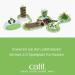 Buy Catit Play Track Wave Circuit - Interactive Cat Toy for Engaging Playtime | Fast International Shipping - Buy Online on SooperMarket.com