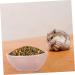 KICHOUSE 2pcs Hamster Food Plate Hamster Cage Accessories Bunny Food Hawaiian Food Hamster Bath Bowl Ceramic Rat Bowl Pet Bowl Small Cat Bowl Hamster Supplies Food Bowl for Cats Ceramics medium Pink - Buy Online on SooperMarket.com