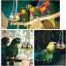 MANSHANGKJ Budgie Toy Interesting Bird Toy Interactive Bells Toy for Small Parrot Macaws Parakeets Love Birds (Random Color) - Buy Online on SooperMarket.com