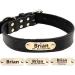 Tagme Personalized Leather Dog Collar - Engraved Name & Phone Number for Small Dogs - Black S (1-Pack) - Durable & Stylish - Buy Online on SooperMarket.com