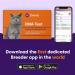ORIVET Cat Breed DNA Test - 1 Pack | Comprehensive Genetic Health Screening & LifePlan | At Home Cheek Swab | Accurate & Fast Results - Buy Online on SooperMarket.com