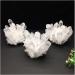 Gift Natural Beautiful White Crystal Cluster Quartz Raw Ore Home Decor Crafts Ornaments Specimens for Healing Crystals (Size : 800-1000g) - Buy Online on SooperMarket.com