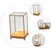 ORFOFE Box Wood Carving Glass Cover clear display stand buddha display stand Display Accessory toy shelf 17x12cm Assorted Color - Buy Online on SooperMarket.com