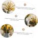 Alipis 3pcs Simulated Ears of Corn Dried Grasses Bundle Home D cor Dried Millet Home Accessories Decor Faux Plants Artificial Plant Home Decor Millet Decor Paddy Artificial Grass Iron Greenx3pcs 12X75CMx3pcs - Buy Online on SooperMarket.com