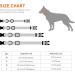 Audwud Thick Nylon Neck Band Dog Collar - Adjustable Classic Design for Small Medium & Large Dogs | M Size: 37-54 cm | Available in Multiple Colors - Buy Online on SooperMarket.com
