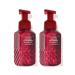 Bath & Body Works Gentle Foaming Hand Soap - Frosted Cranberry (2 Pack) Frosted Cranberry 8.75 Ounce