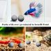 Sungrow 10 Hermit Crab & Crayfish Calcium Supplement Balls - 30+ Minerals for Molting Pets - Buy Online on SooperMarket.com