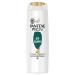 Pantene Pro-V Anti-Dandruff Shampoo Pro-V Formula + Antioxidants For All Hair Types 300ML 300 ml (Pack of 1) 300 ml