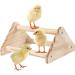 GINTUTO Pine Wooden Chick Jungle Gym Roosting Bar - Small Chicken Perch Toys for Coop and Brooder - Ideal for Large Bird Baby Chicks and Parrots - Buy Online on SooperMarket.com