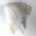 Shekyeon 12-14 inch Ostrich Feathers Pack of 10 - White Wedding Centerpiece Plumes - Buy Online on SooperMarket.com