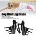 Pet Knee Joint Wrap Reflective Soft Material Inflammation Reduction Stable Dog Hind Leg Support Brace for Knee Dislocation L - Buy Online on SooperMarket.com
