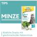 Gimcat Mint Tips - Grain-Free Vitamin-Rich Cat Snack with Catnip - 8 Pack (320 g) - Perfect Treat for Healthy Cats - Buy Online on SooperMarket.com