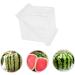 OSALADI Fruit Pumpkin Tools Watermelon Forming Molds Gardening Supplies Vegetable Stereotypes Moss 15x15cm Transparent - Buy Online on SooperMarket.com