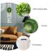 Alipis 1set Home Wall Hanging Decoration Eucalyptus Garlands Wall Adornment Indoor Do It Yourself - Buy Online on SooperMarket.com