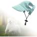 Predolo Pet Sports Hat - Fashionable Dog Solar Hat with Ear Holes | Sun Protection Baseball Cap for Small Dogs - Green L - Buy Online on SooperMarket.com