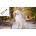 AFTREN Tick Remover Pet Care Tool Set Flea Comb Real Bamboo Contour Grip Handle Dogs Cats Horses 5 Pcs Stainless Steel Fleas Ticks Remover Kit - Buy Online on SooperMarket.com