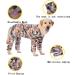 Dog Cooling Clothes Breathable Mesh Cooling Pajamas for Dogs Sunscreen Cooling Dogs Four-Legged Jumpsuit Costumes for Medium and Large Dogs Indoor Outdoor (5XL Blue sheep) 5XL Blue sheep - Buy Online on SooperMarket.com