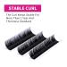 Individual Classic Eyelash Extensions 0.15mm D Curl Mix (8-14mm) - Professional Natural Look - Buy Online on SooperMarket.com