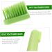 ORFOFE 1 Set Pet Toothbrush Kitten Toothbrushes Dog Toothbrush for Small Dogs Dog Toothpaste Pets Pp Green - Buy Online on SooperMarket.com