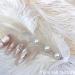 Nail Art Feather Display Stand Feather Nail Art Feather Display Stand Feather Decoration woman 02 One Color - Buy Online on SooperMarket.com