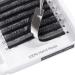 4D Volume Easy Fan W-Shaped Lash Extensions - 0.07D Curl 8-15mm | W4D-0.07D/8-15Mix - Buy Online on SooperMarket.com