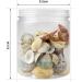 100+ Pcs WEOXPR Mixed Sea Shells & Starfish - Beach Themed Decor for Fish Tank, Vase Fillers, Wedding, Crafts & Home Decor - Buy Online on SooperMarket.com