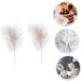 NAMOARLY 2 Pcs Insert Pearl Trim Pearl Decor Beige Decor Ostrich Trim Baking Diy Decor Dessert Inserting Decor Inserting Baking Topper Baking Toppers Insert Card Cake White White 12X5.5CM - Buy Online on SooperMarket.com