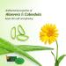 (Pack of 3) Bakson Sunny Herbals Aloevera + Calendula Bathing Bar (75gm Each) - Healing and Soothing Skin Care by Venus.Exports - Buy Online on SooperMarket.com