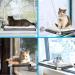 ZALALOVA Cat Window Perch Hammock Seat w/Free Blanket | Extra Large Sturdy Bed for Two Cats | Latest Screw Suction Cups | Indoor Resting Seat (White) - Buy Online on SooperMarket.com