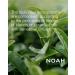 Noah 1.6 Color Protecting Shampoo - Eco-Friendly Sulfate-Free Vegan Keratin Care with Rice Protein & Ylang-Ylang 8.45 fl. oz - Buy Online on SooperMarket.com