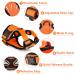 Breakproof Cat Leash Set & Adjustable Soft Kitten Vest - Reflective Stripes | Orange Small Dishes for Kittens - Buy Online on SooperMarket.com