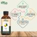 Organic Zing Marula (Sclerocarya birrea) Oil Pure & Natural for Skin Face Hair Care Aromatherapy Diffuser Conditioner - 30ml/1.01fl oz - Buy Online on SooperMarket.com