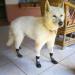 KOOLTAIL Dog Socks XL - Anti-Slip with Straps, Waterproof Paw Protector for Traction Control - Black (2.6 Width x 6.3 Length) - Buy Online on SooperMarket.com