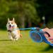 Edipets Retractable Dog Leash - 5m Flexileine for Dogs up to 50kg | Extendable & Inserable Walking Band - Buy Online on SooperMarket.com