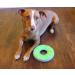 Buy Chuckit! CH32305 Zipflight Max Glow Small - Best International Shipping for Pet Toys - Buy Online on SooperMarket.com